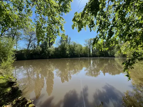 Grand étang entouré d’arbres dans le parc du gîte de groupe en Sologne