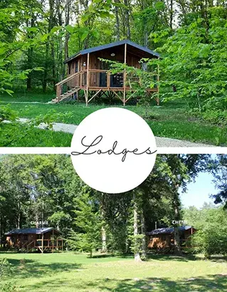 Séjour lumineux d’un lodge en bois avec cuisine équipée près du château de Chambord