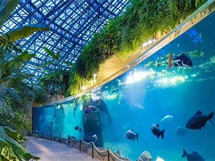 ZooParc de Beauval depuis La Ferme des Poulardières